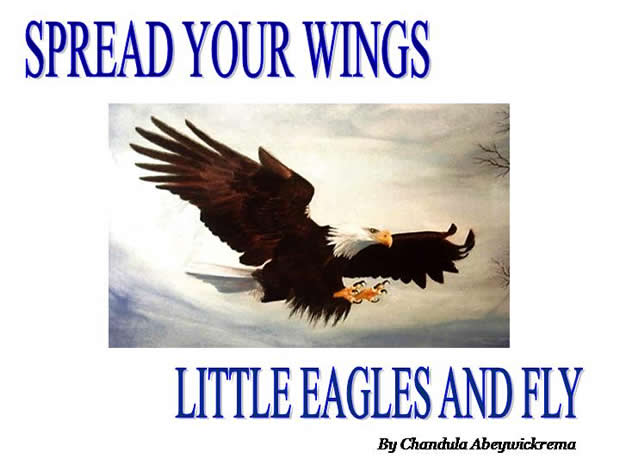 Spread Your Wings Little Eagles and Fly